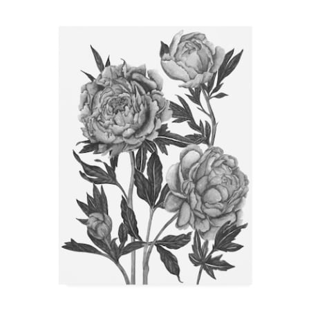Melissa Wang 'Flowers In Grey V' Canvas Art,14x19